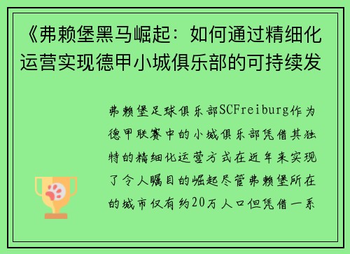 《弗赖堡黑马崛起：如何通过精细化运营实现德甲小城俱乐部的可持续发展》