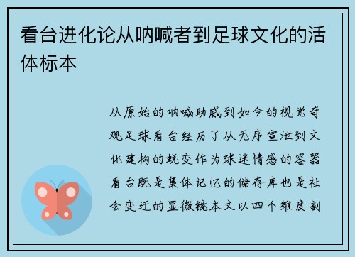 看台进化论从呐喊者到足球文化的活体标本