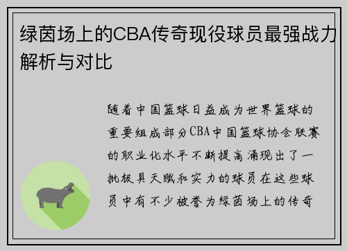 绿茵场上的CBA传奇现役球员最强战力解析与对比